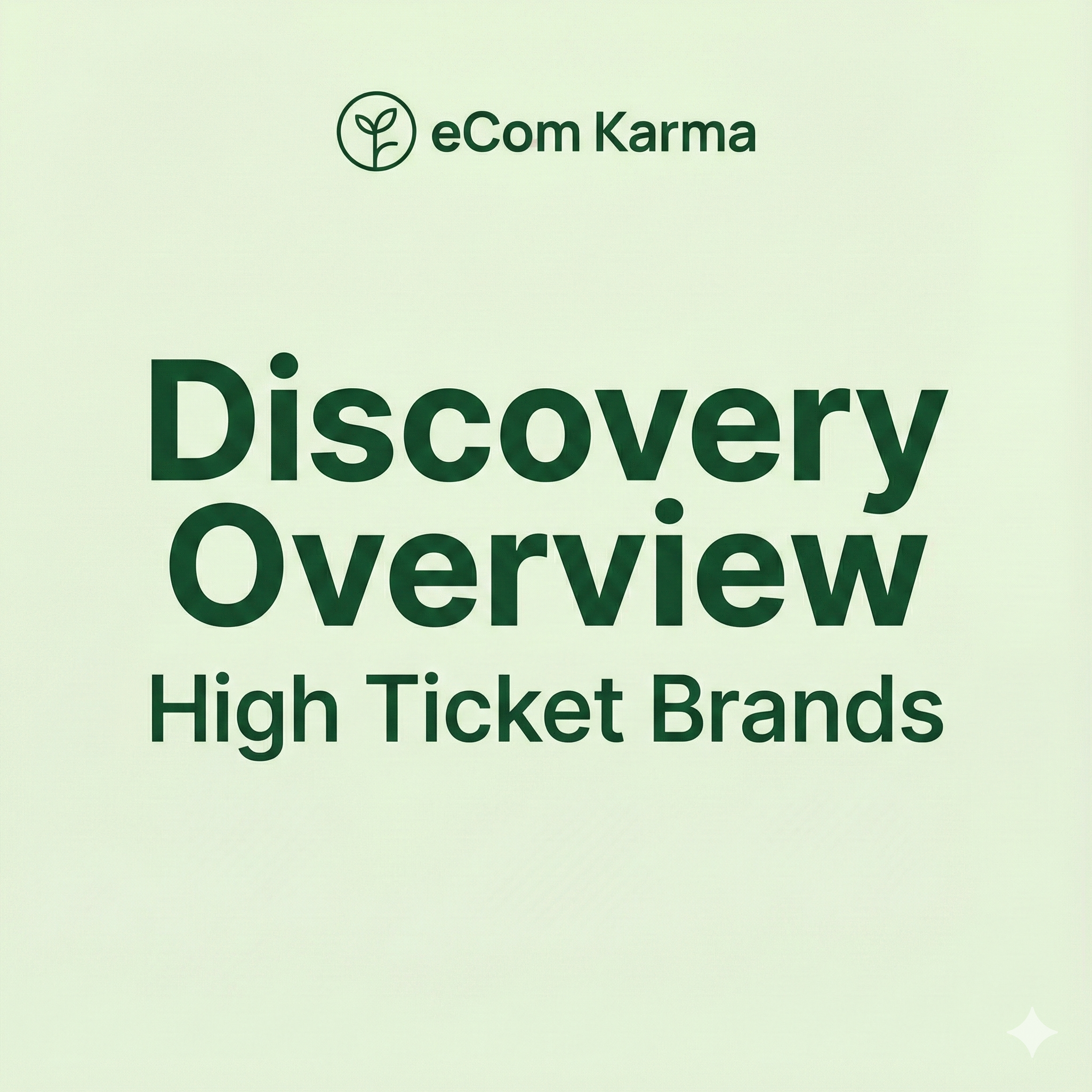 Discovery overview for high-ticket eCommerce brands