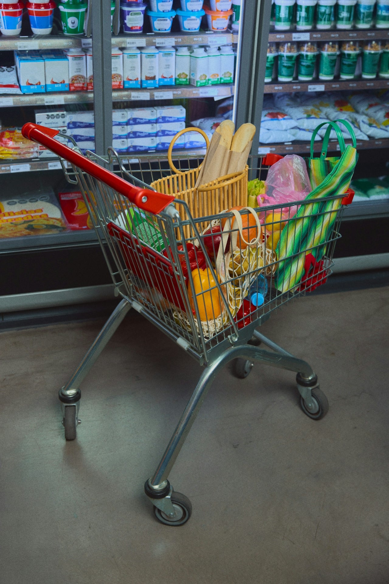 Grocery cart filled with food in front of freezer cases representing the Niche Retailer ecommerce category