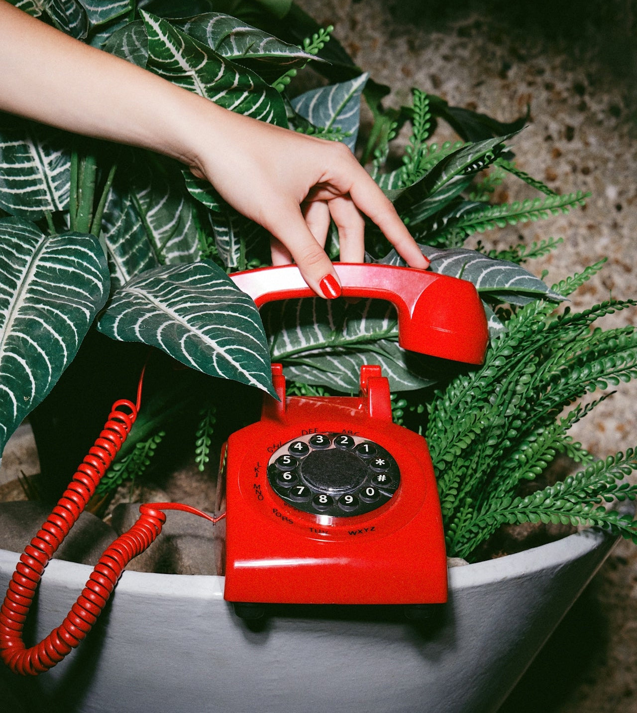 Red rotary phone among green plants, representing booking a Karma Call