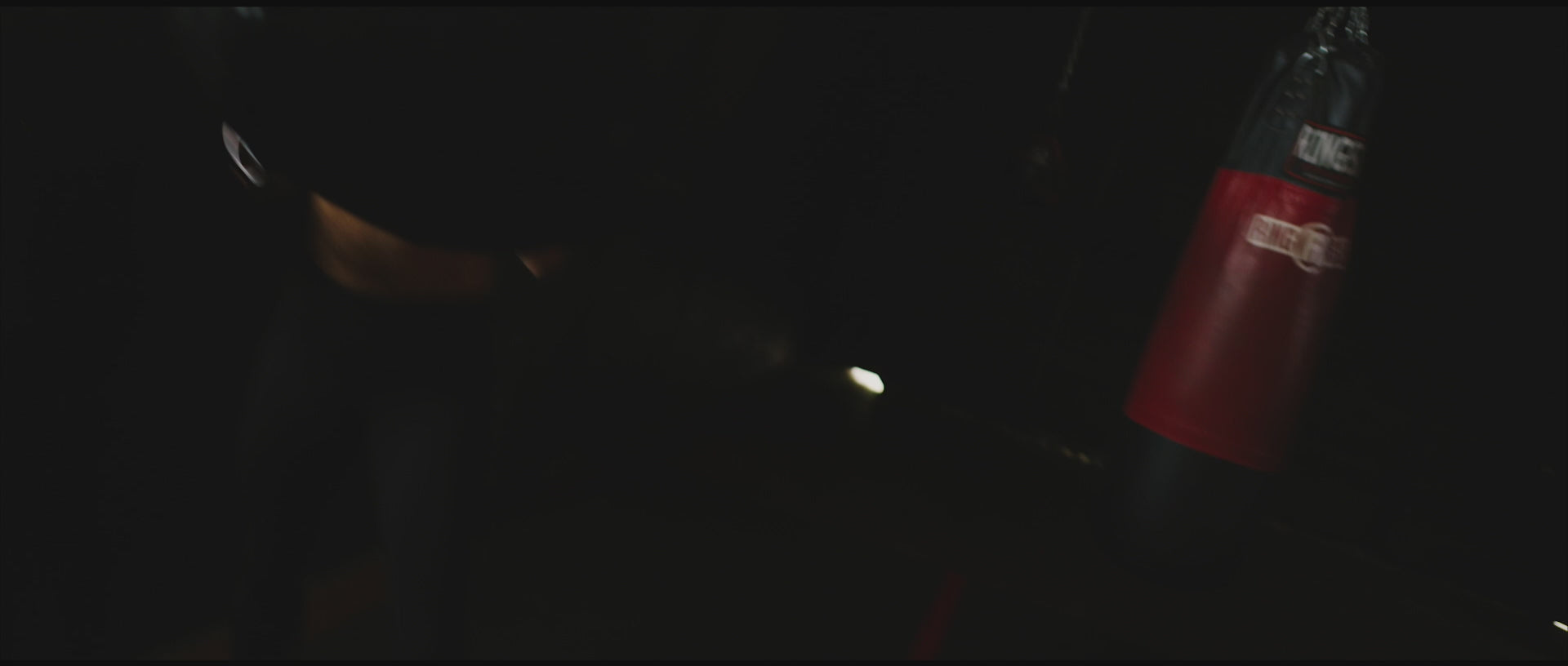 Boxer training on a heavy bag, representing training an ecommerce high-ticket funnel to convert